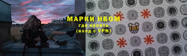 шишки Алзамай