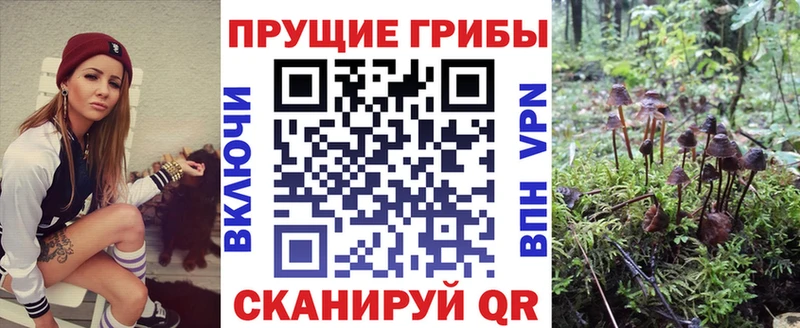 Галлюциногенные грибы Psilocybe  Тырныауз 